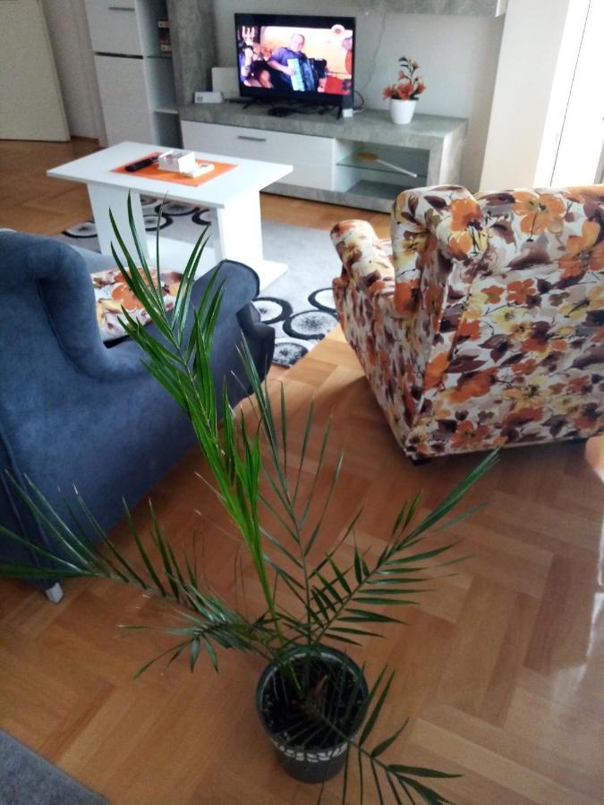 Apartman Maca Pirot Extérieur photo
